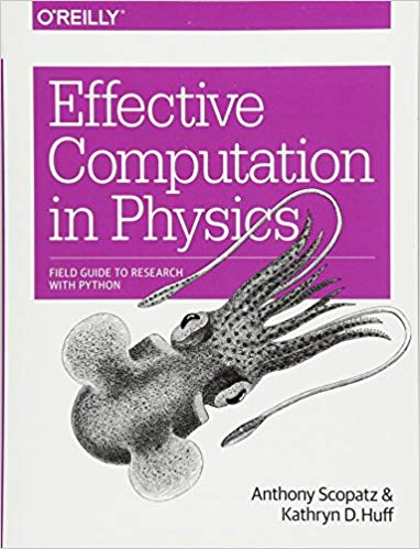 Effective Computation in Physics