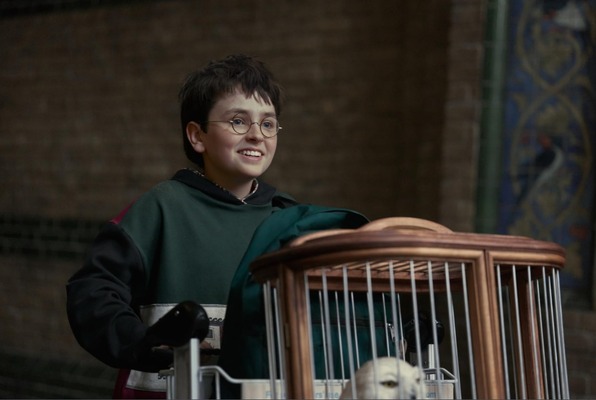 HBO Percepat Produksi Harry Potter Season 2